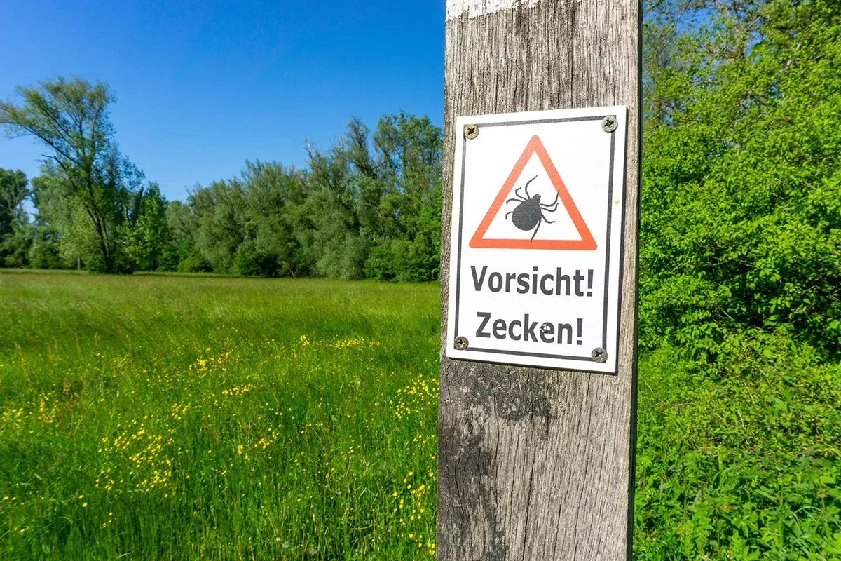 Warnschild Zecken vor Wiesen- und Waldlandschaft.