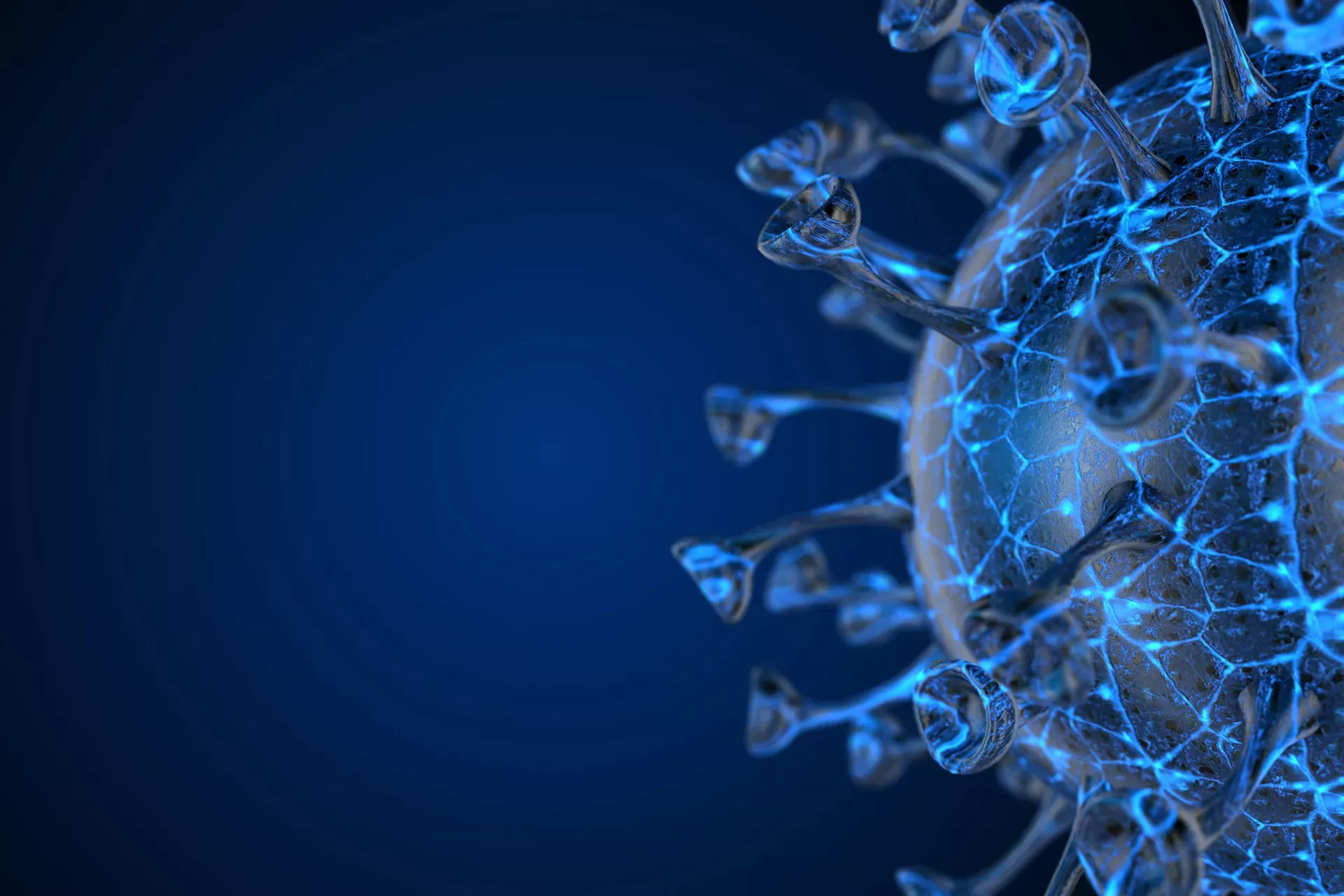 Coronavirus vor blauem Hintergrund Coronavirus vor blauem Hintergrund