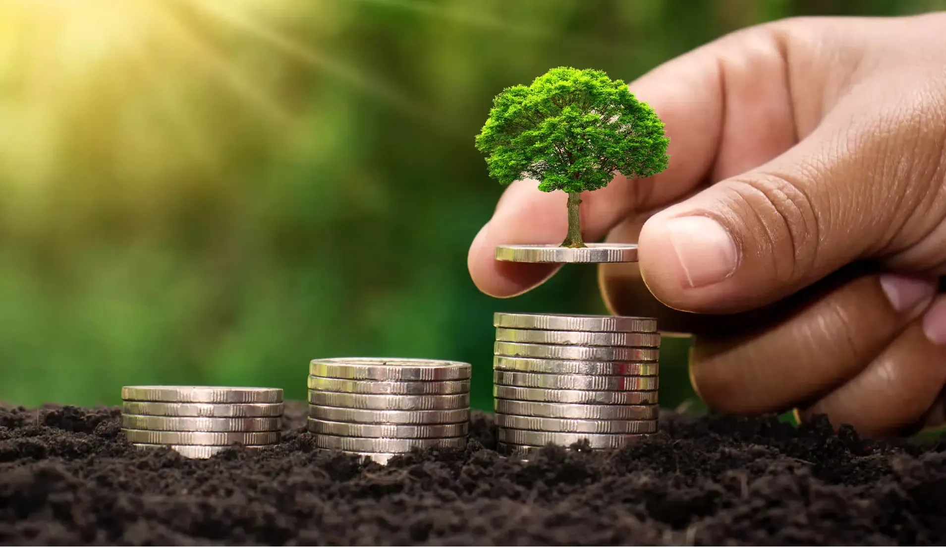 Drei höher werden Münzstapel stehen auf nackter Erde, im Hintergrund scheint die Sonne. Eine Männerhand hält die oberste Münze mit einem kleinen Baum darauf (Bild: adobestock) Drei höher werden Münzstapel stehen auf nackter Erde, im Hintergrund scheint die Sonne. Eine Männerhand hält die oberste Münze mit einem kleinen Baum darauf (Bild: adobestock)