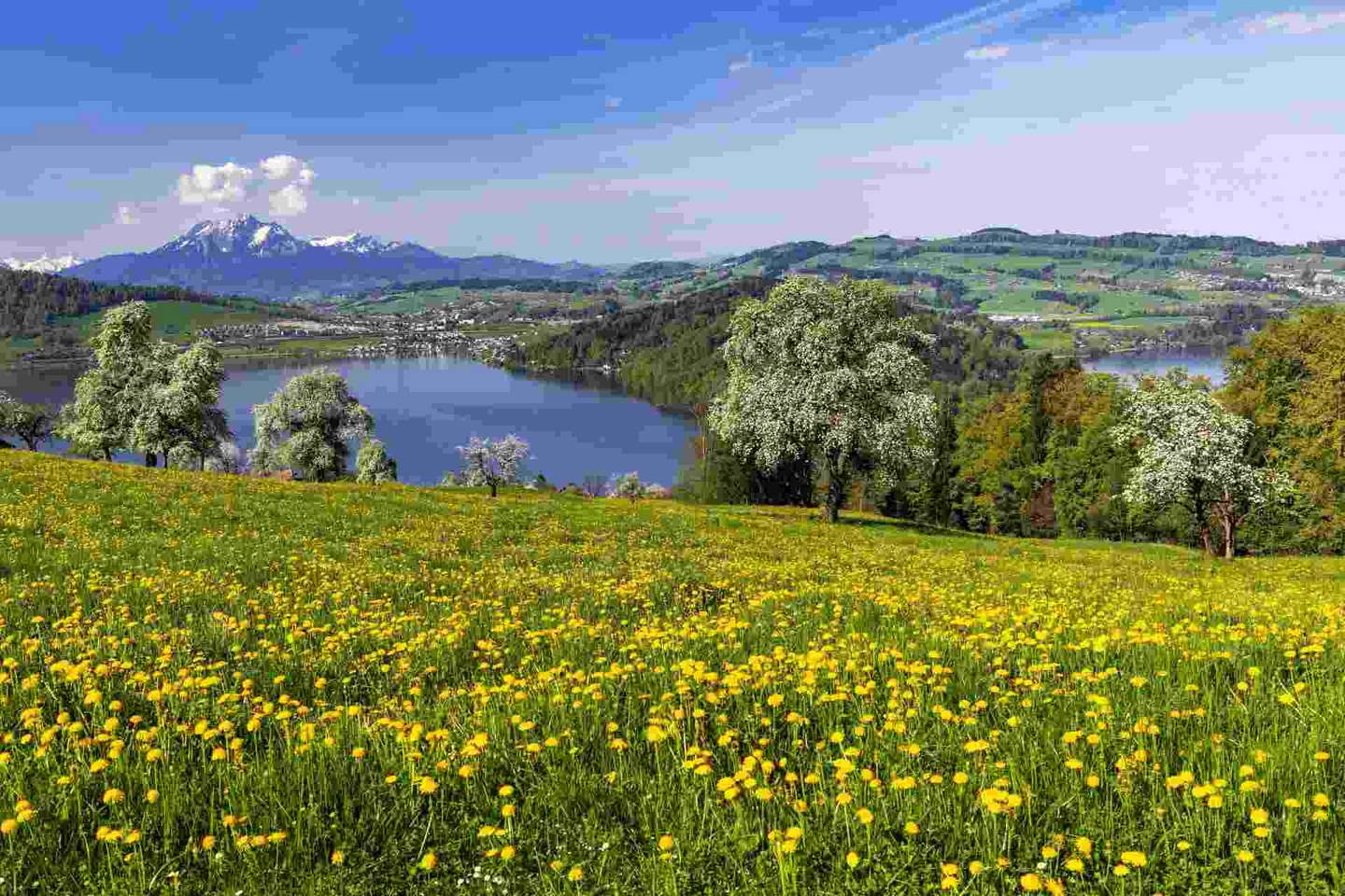 Schweiz: 13. Monatsrente wird ab Dezember 2026 ausbezahlt Schweiz: 13. Monatsrente wird ab Dezember 2026 ausbezahlt