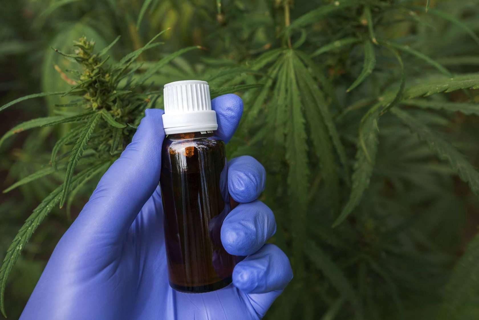 Cannabis bei der Arbeit: Nichtraucherschutz erweitert Cannabis bei der Arbeit: Nichtraucherschutz erweitert