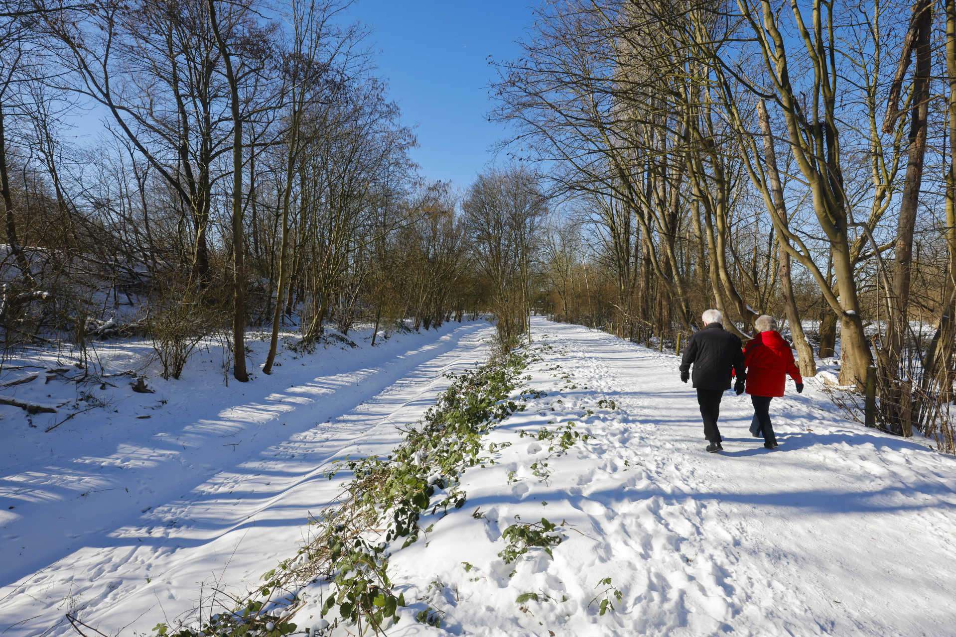 Januar-Blues: Was die Stimmung aufhellt Januar-Blues: Was die Stimmung aufhellt