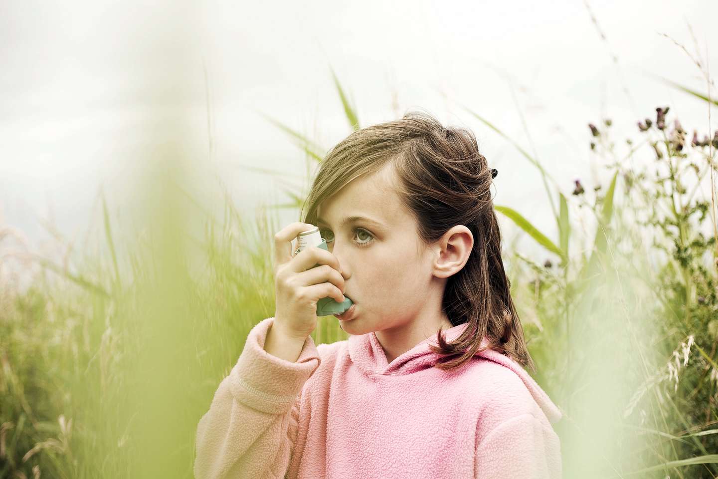 Wieso Pollen den Menschen immer mehr zu schaffen machen Wieso Pollen den Menschen immer mehr zu schaffen machen