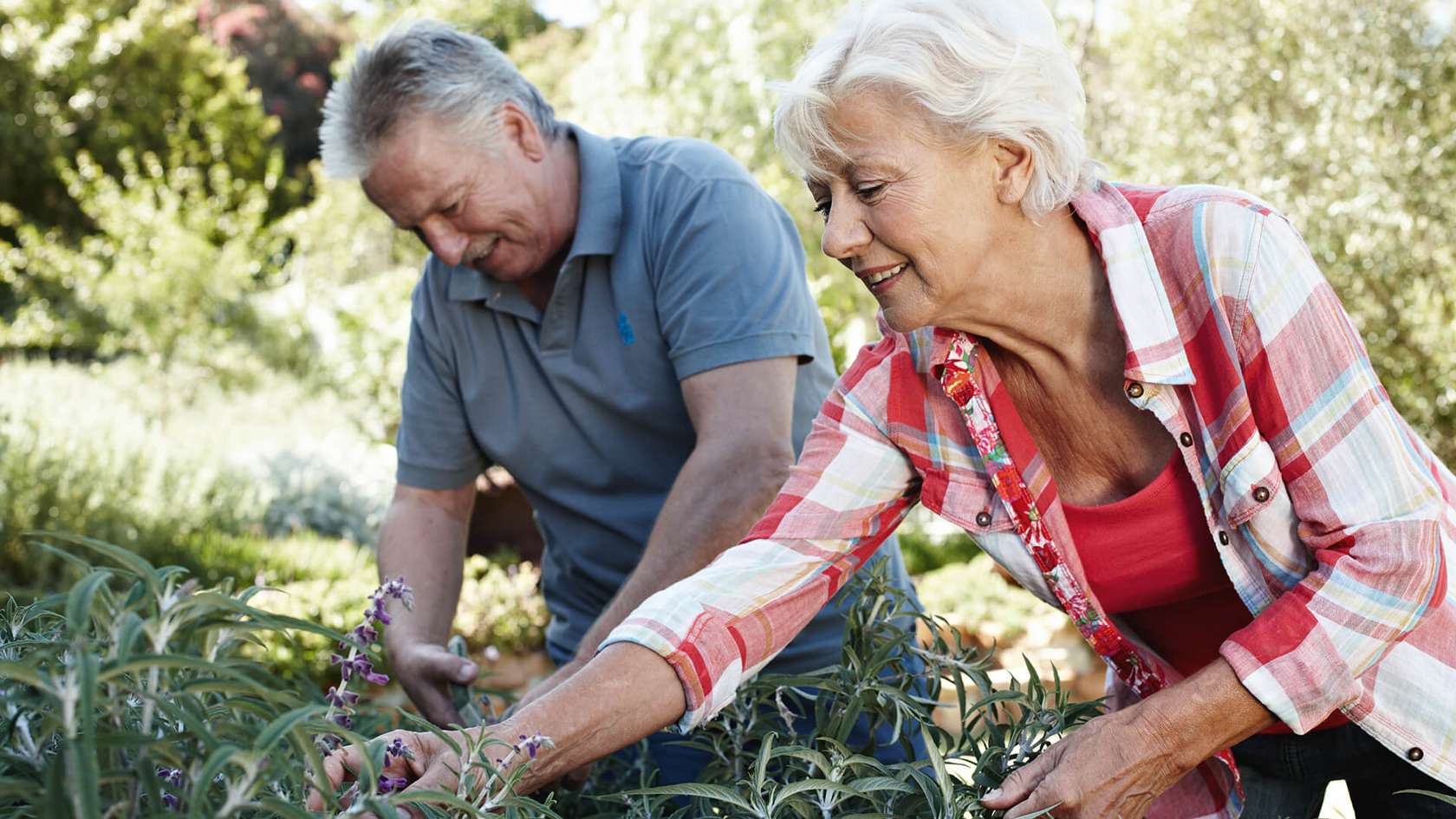 Umfrage: Gartenarbeit tut der Seele gut Umfrage: Gartenarbeit tut der Seele gut