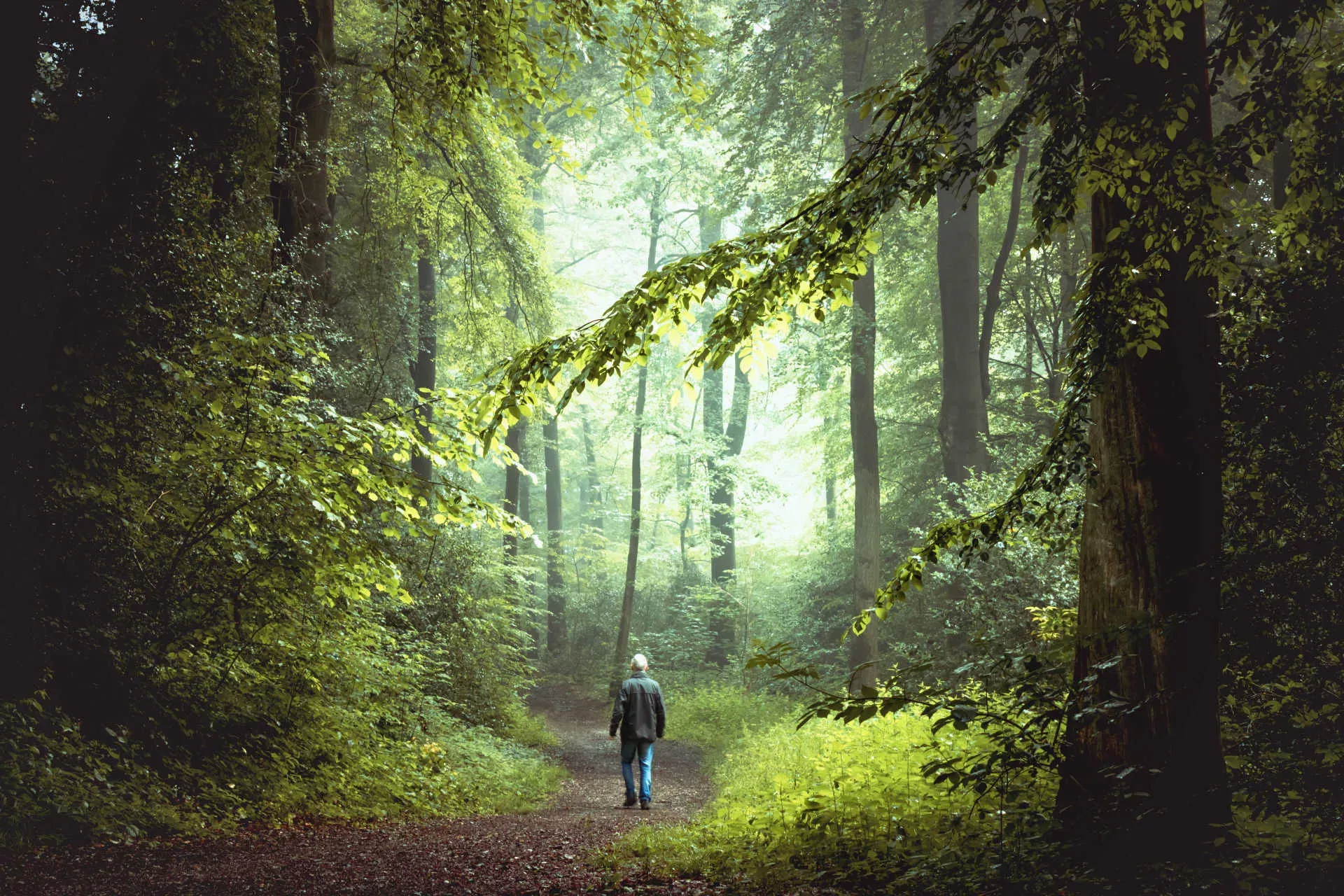 Mann geht im Wald spazieren. Bild: IMAGO / Westend61 / imago stock&people Mann geht im Wald spazieren. Bild: IMAGO / Westend61 / imago stock&people