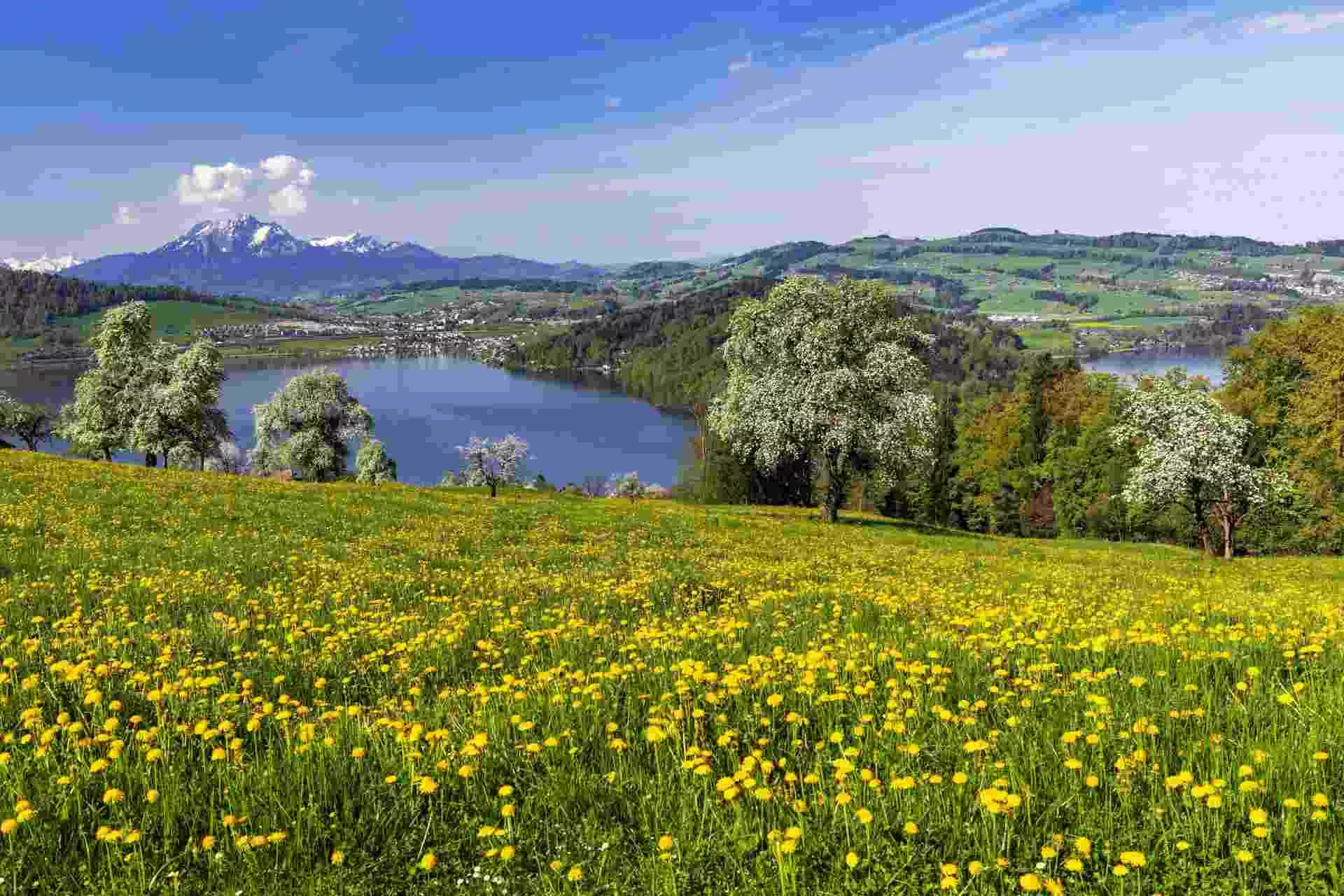 Ausblick auf den Zugersee in der Schweiz: Bild: IMAGO / imagebroker / Stefan Huwiler Ausblick auf den Zugersee in der Schweiz: Bild: IMAGO / imagebroker / Stefan Huwiler