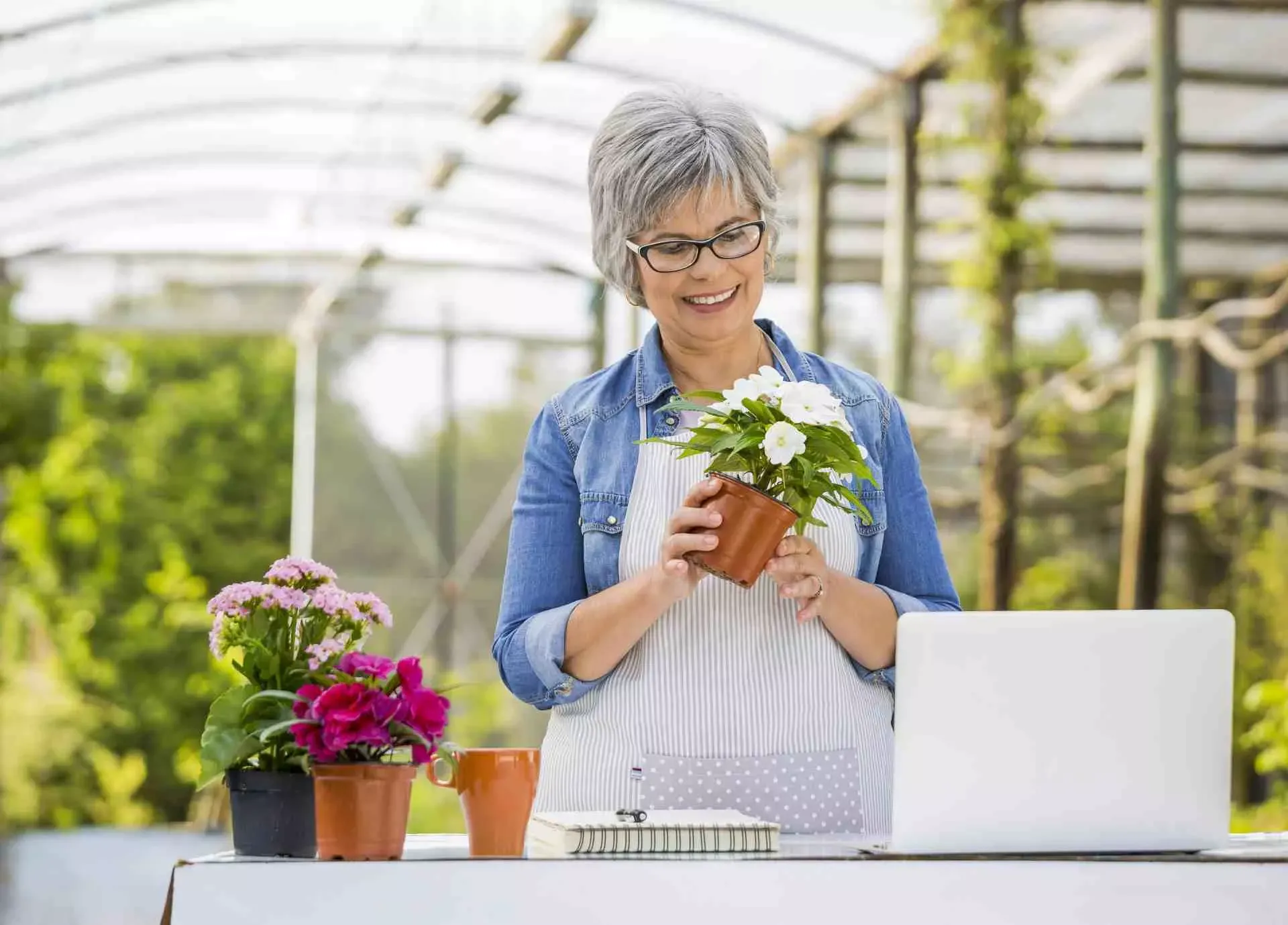Seniorin arbeitet in einem Gartencenter. Bild: IMAGO / Panthermedia Seniorin arbeitet in einem Gartencenter. Bild: IMAGO / Panthermedia