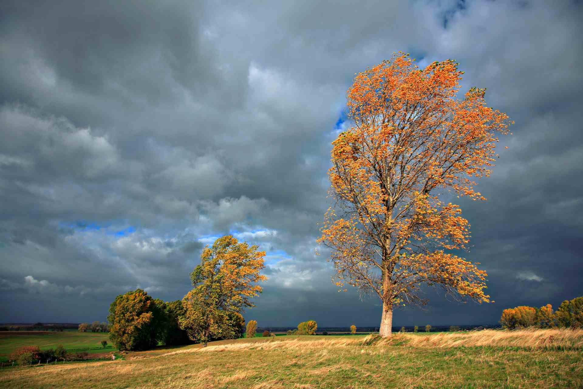 Herbstlandschaft Herbstlandschaft