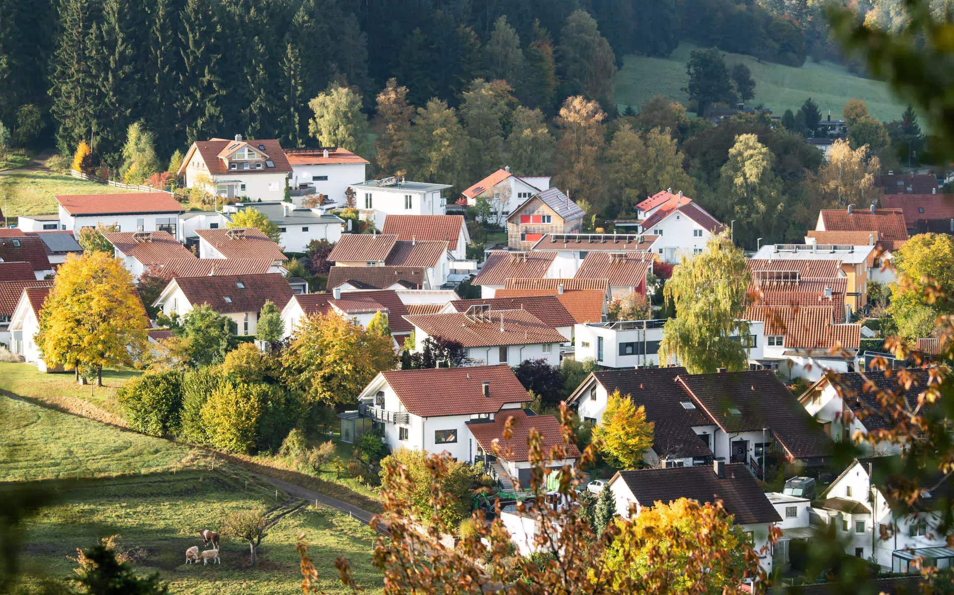 Wohnhäuser in einem Dorf nahe Rottweil. Bild: IMAGO / Silas Stein Wohnhäuser in einem Dorf nahe Rottweil. Bild: IMAGO / Silas Stein