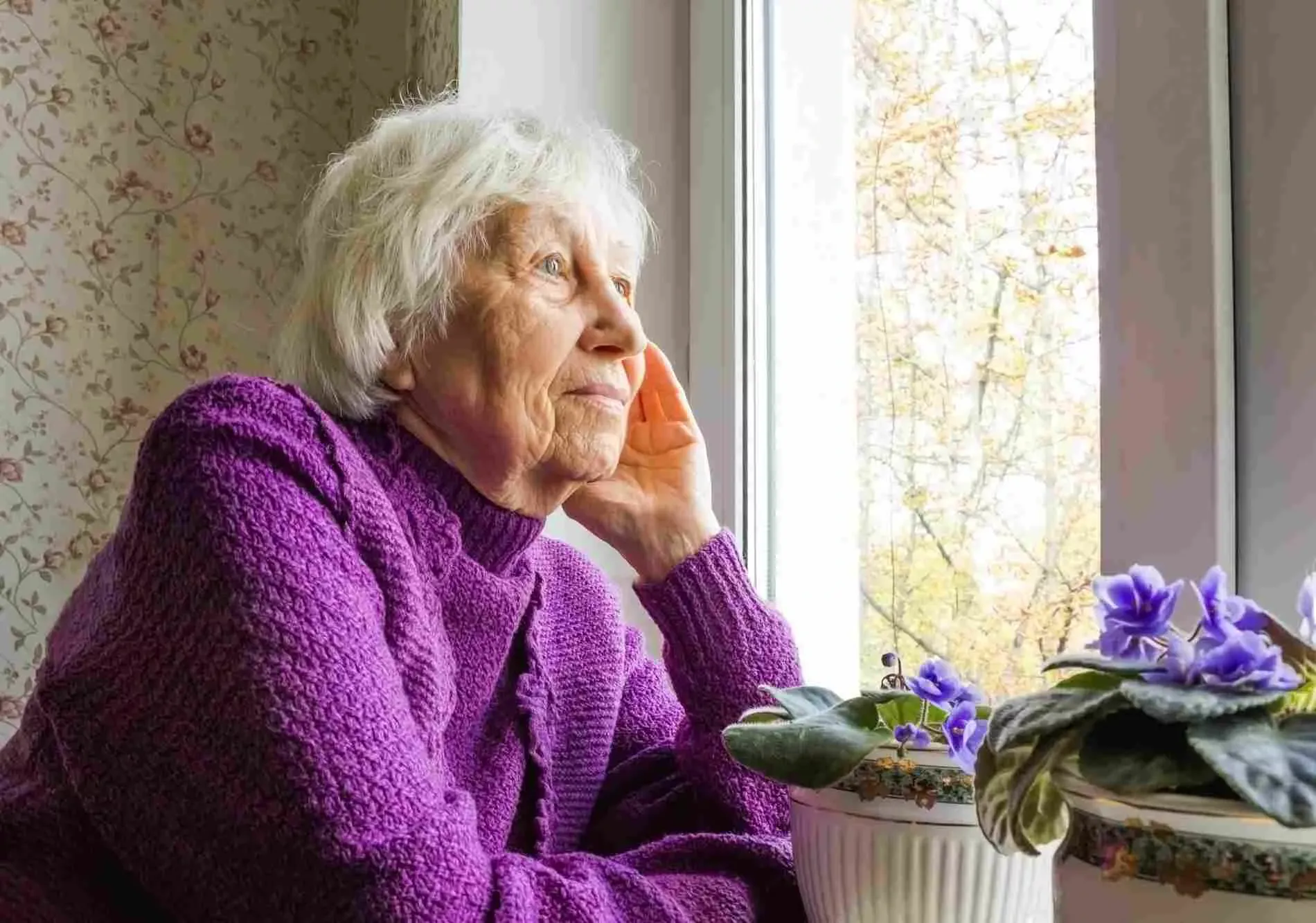 Seniorin sitzt in einem Sessel und schaut nachdenklich. Bild: IMAGO / Panthermedia Seniorin sitzt in einem Sessel und schaut nachdenklich. Bild: IMAGO / Panthermedia
