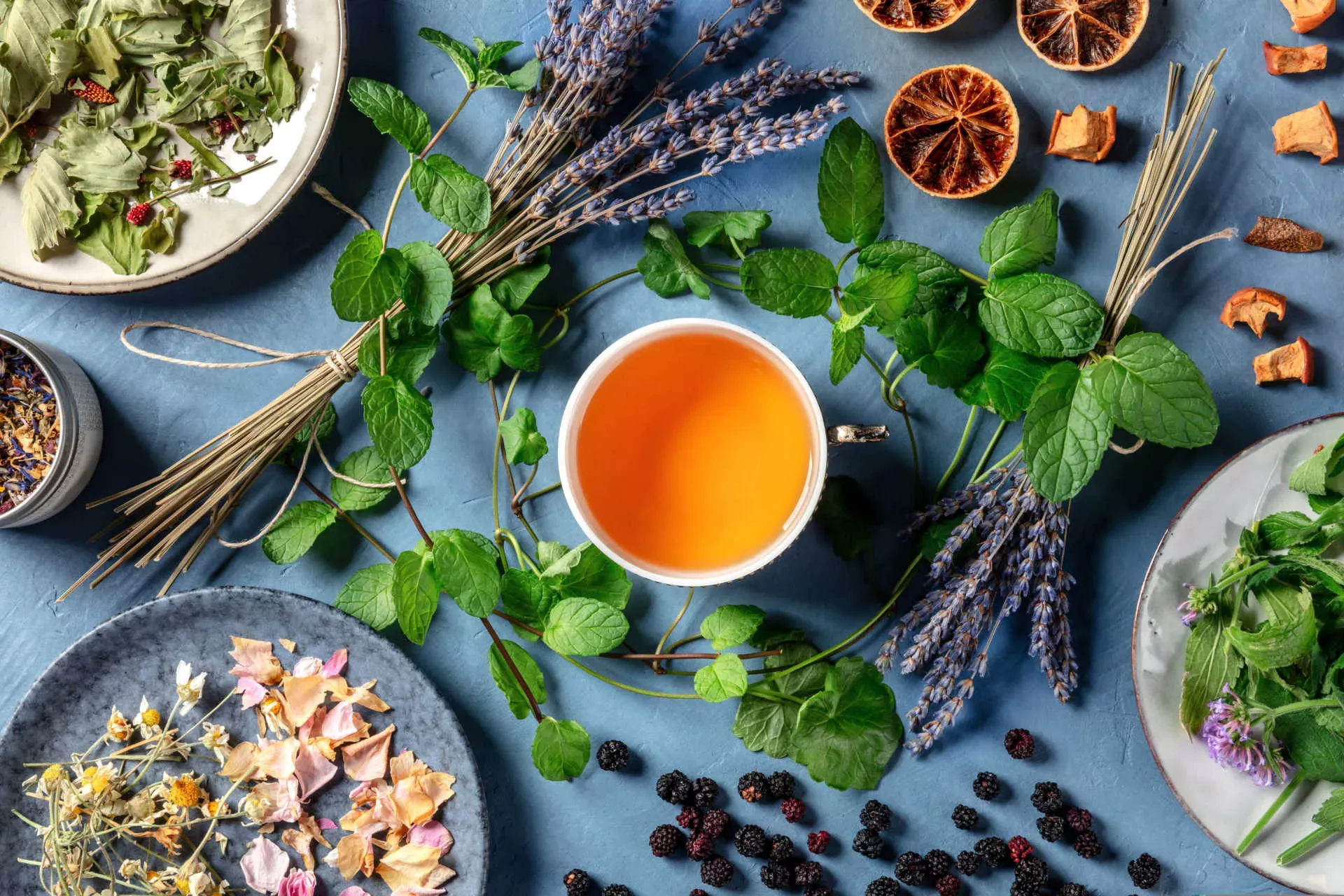 Detox: Tee mit Kräutern und Beeren umgeben. Bild: IMAGO / Addictive Stock / Kateryna Solovyeva Detox: Tee mit Kräutern und Beeren umgeben. Bild: IMAGO / Addictive Stock / Kateryna Solovyeva
