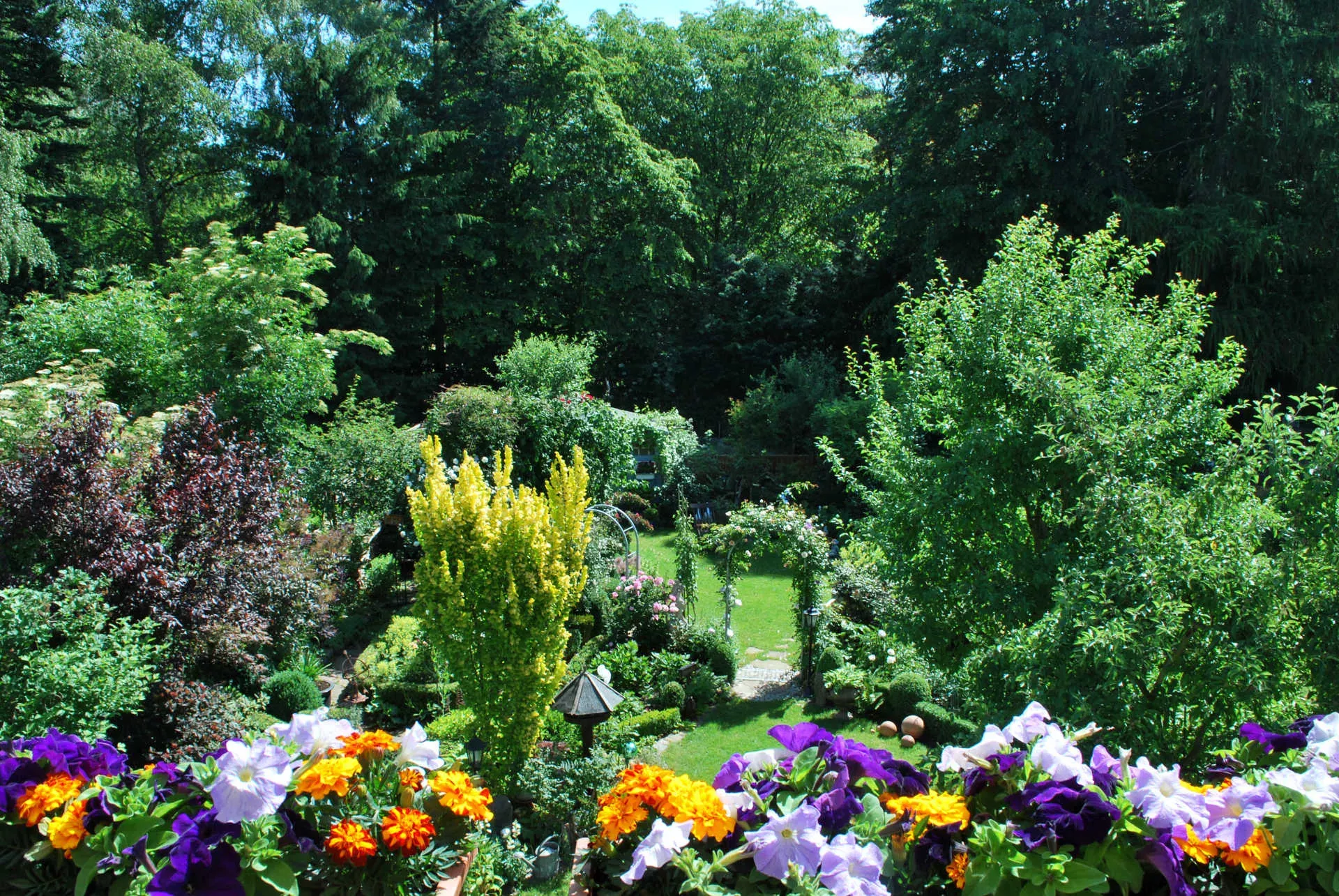 Gepflegter Garten im Sonnenschein. Bild: IMAGO / Panthermedia / Tatjana Balzer Gepflegter Garten im Sonnenschein. Bild: IMAGO / Panthermedia / Tatjana Balzer