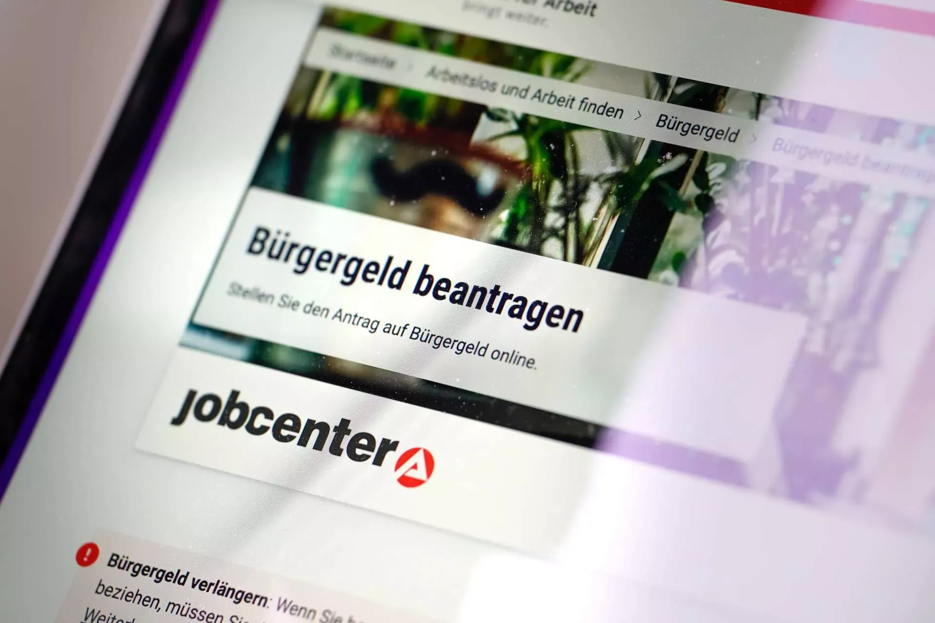 Website der Agentur für Arbeit mit Online-Antrag für Bürgergeld (Bild: IMAGO/Political-Moments) Website der Agentur für Arbeit mit Online-Antrag für Bürgergeld (Bild: IMAGO/Political-Moments)