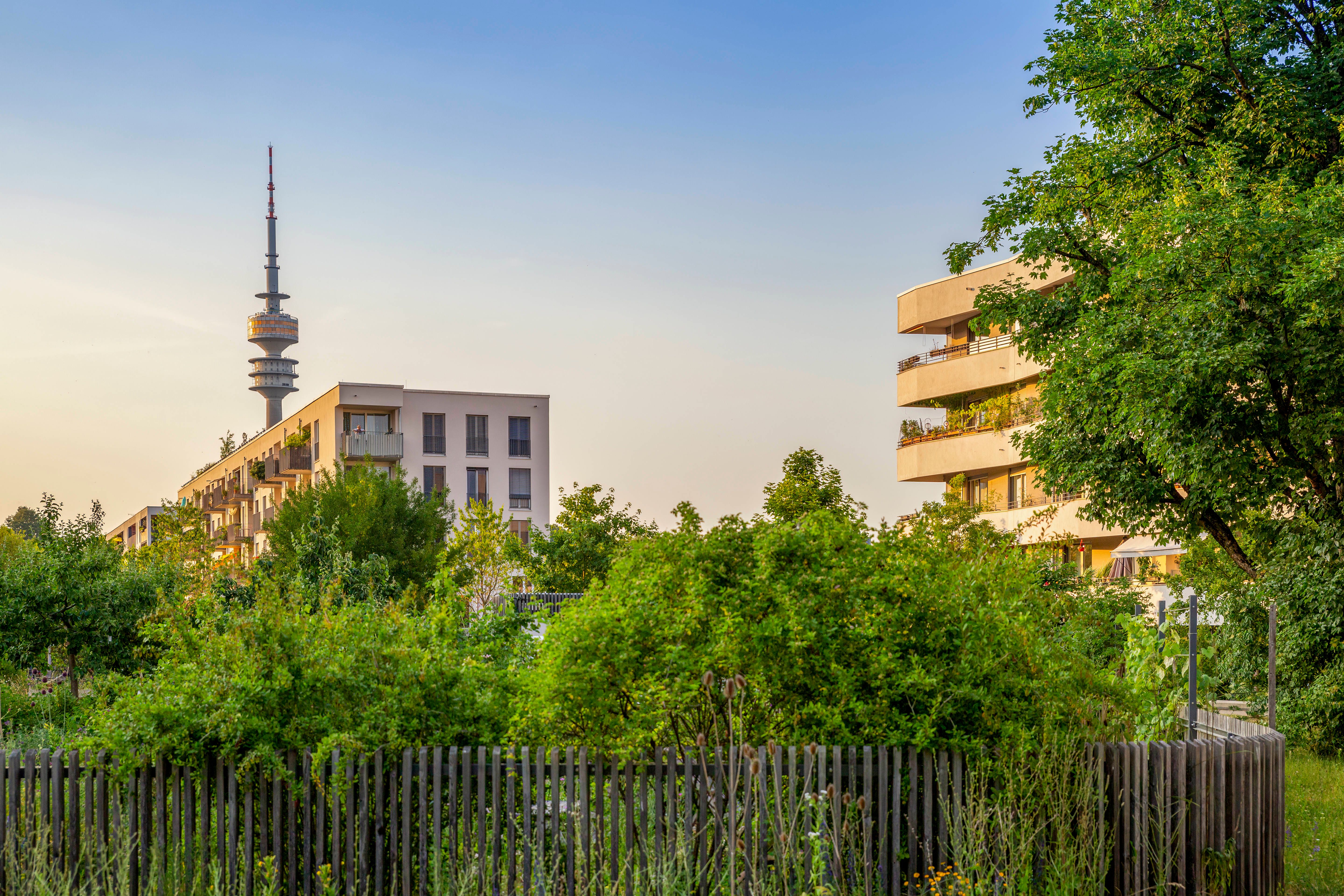 Das Bild zeigt einen Neubau-Stadtteil mit vielen Grünpflanzen Das Bild zeigt einen Neubau-Stadtteil mit vielen Grünpflanzen
