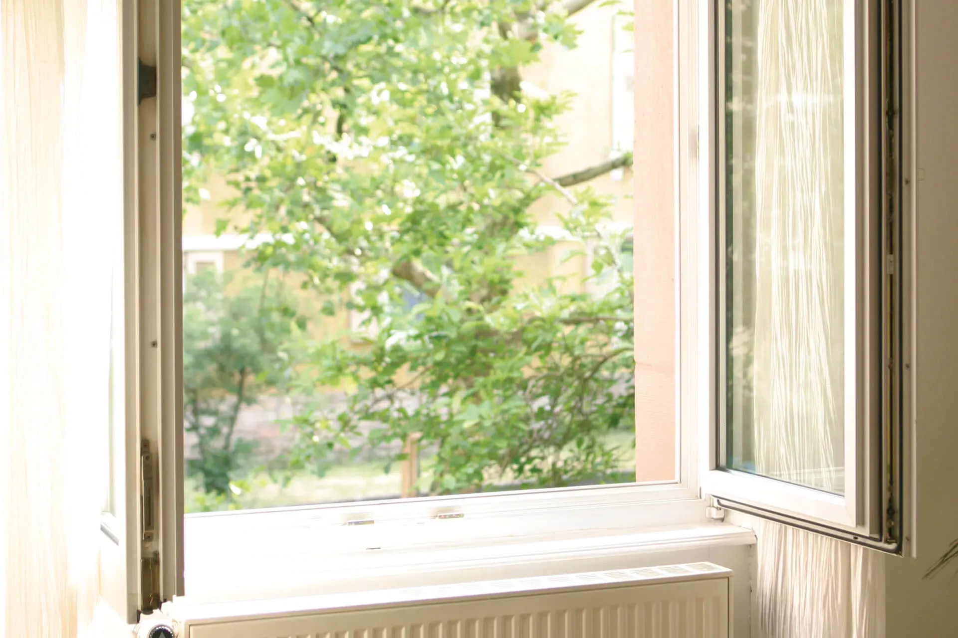 Offenes Fenster mit Aussicht auf einen Baum. Offenes Fenster mit Aussicht auf einen Baum.