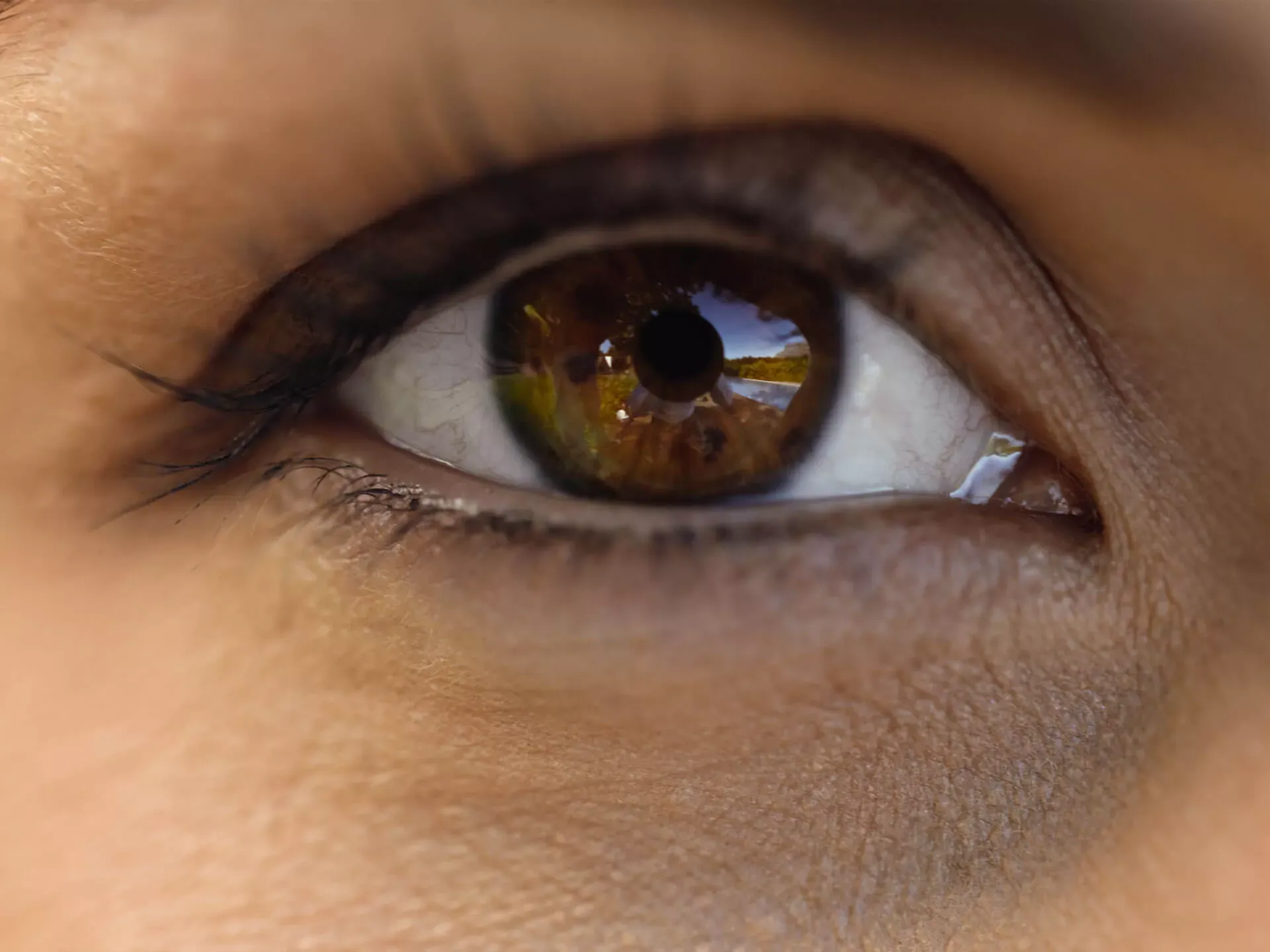 Braunes Auge im Gesicht einer Frau, Ausschnitt. Braunes Auge im Gesicht einer Frau, Ausschnitt.