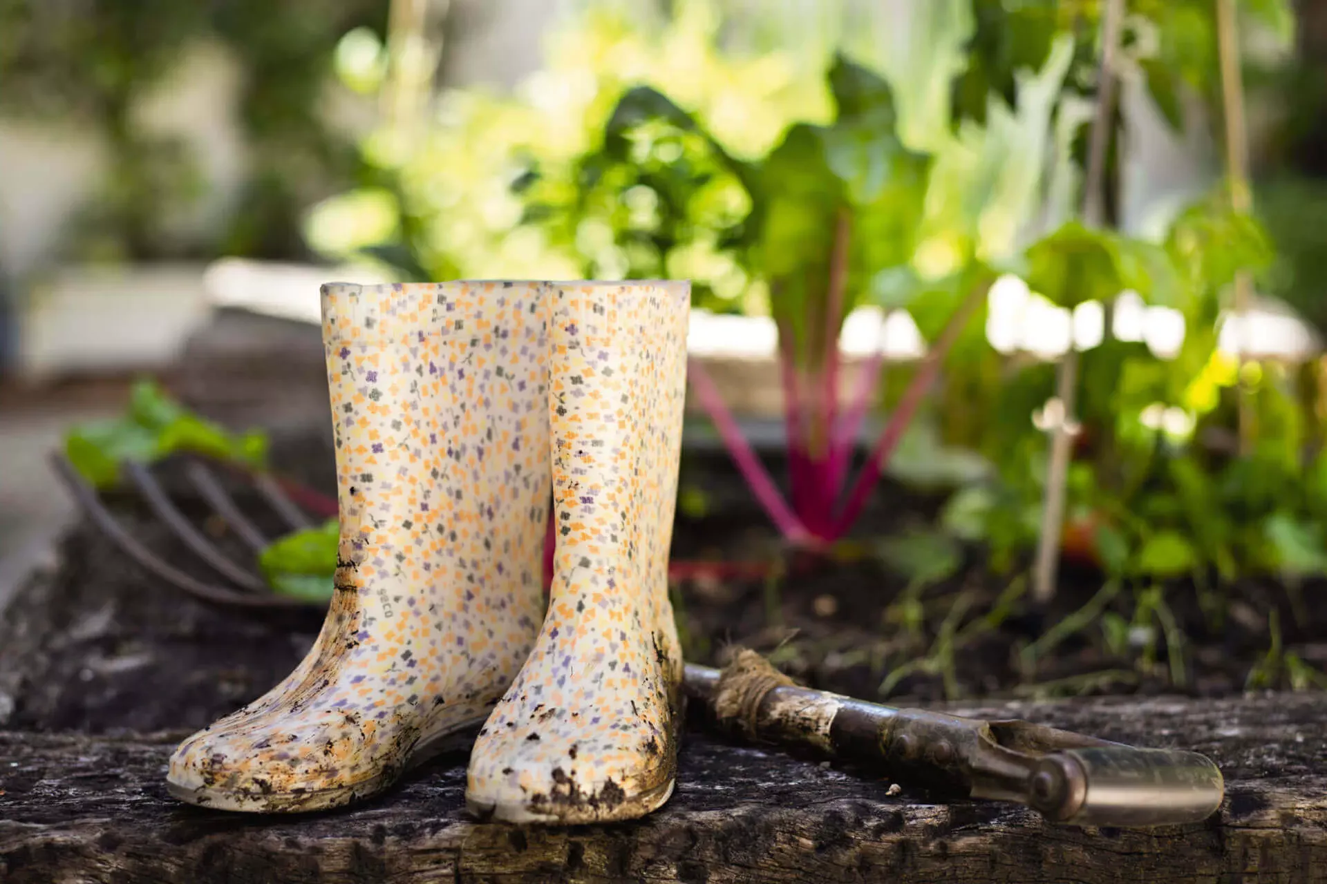 Gummistiefel und eine Gartenharke vor einem Gemüsebeet. Gummistiefel und eine Gartenharke vor einem Gemüsebeet.